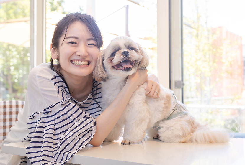 わんちゃんと一緒に行けるところを探している